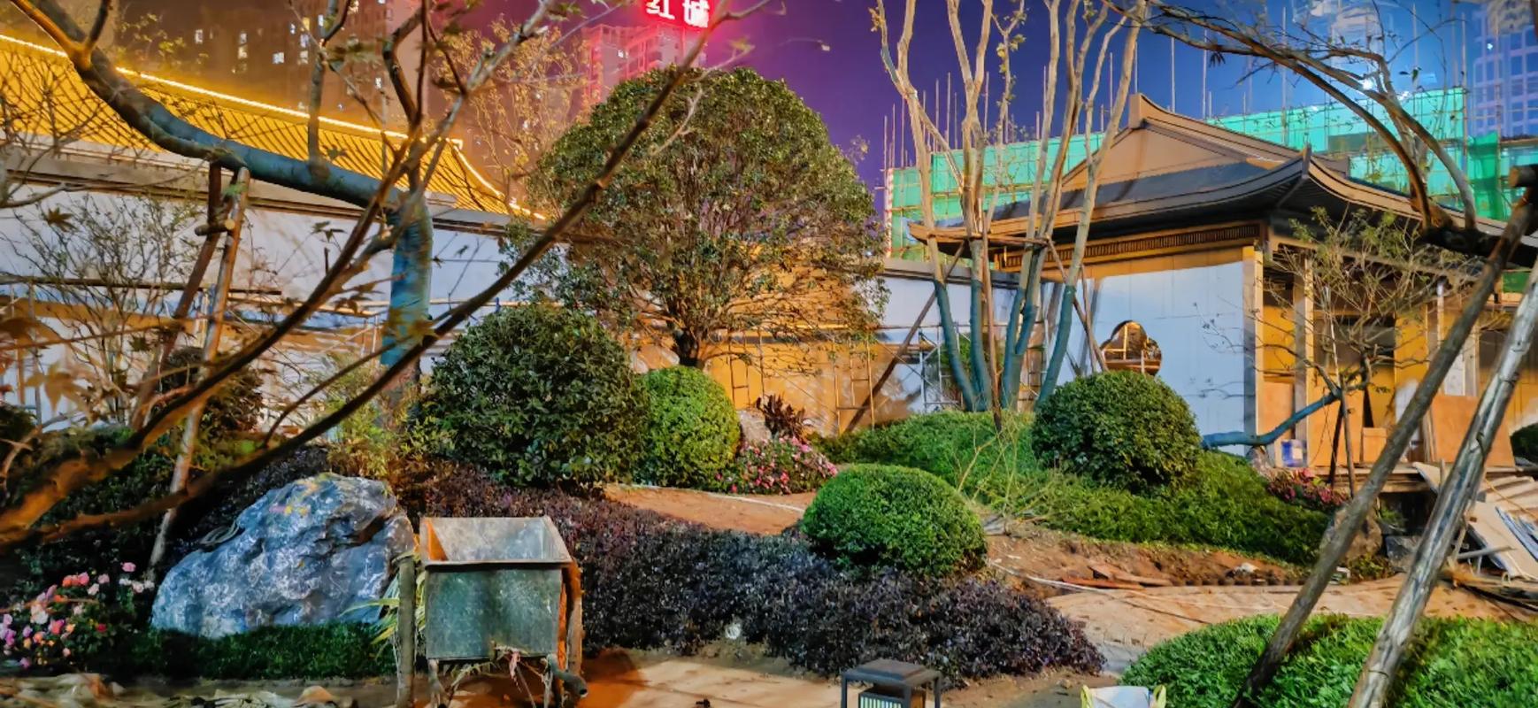 夜色中的綠意 小區(qū)角落里涌動(dòng)著的奮斗之光